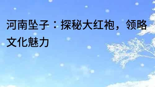 河南墜子：探秘大紅袍，領(lǐng)略文化魅力