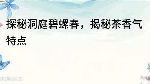探秘洞庭碧螺春，揭秘茶香氣特點