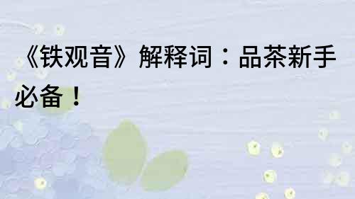 《鐵觀音》解釋詞：品茶新手必備！