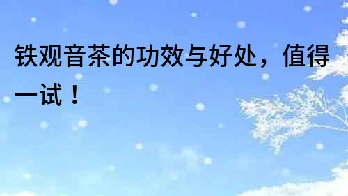 鐵觀音茶的功效與好處，值得一試！