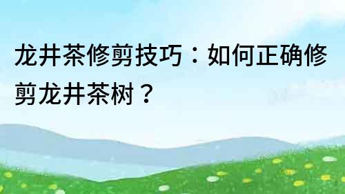 龍井茶修剪技巧：如何正確修剪龍井茶樹？