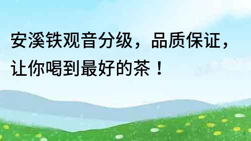 安溪鐵觀音分級，品質(zhì)保證，讓你喝到最好的茶！