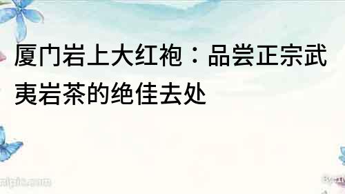 廈門巖上大紅袍：品嘗正宗武夷巖茶的絕佳去處