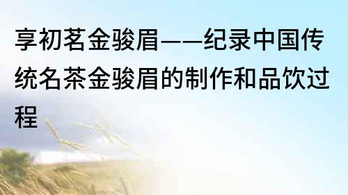 享初茗金駿眉——紀錄中國傳統名茶金駿眉的制作和品飲過程