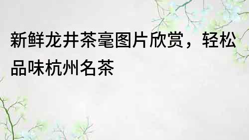 新鮮龍井茶毫圖片欣賞，輕松品味杭州名茶