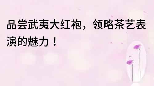品嘗武夷大紅袍，領略茶藝表演的魅力！