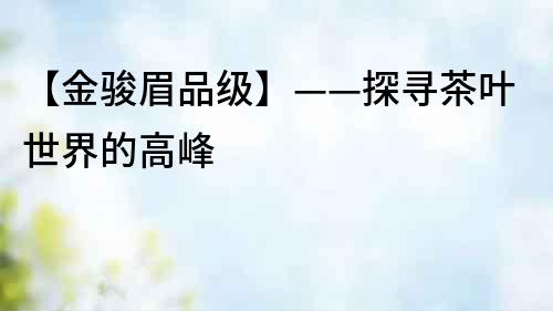 【金駿眉品級】——探尋茶葉世界的高峰