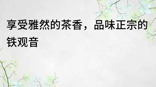 享受雅然的茶香，品味正宗的鐵觀音