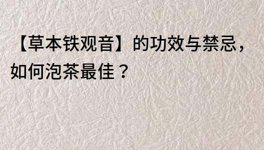 【草本鐵觀音】的功效與禁忌，如何泡茶最佳？