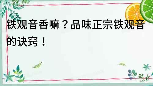鐵觀音香嘛？品味正宗鐵觀音的訣竅！