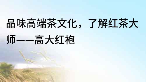 品味高端茶文化，了解紅茶大師——高大紅袍