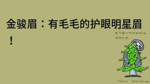 金駿眉：有毛毛的護(hù)眼明星眉！