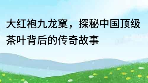 大紅袍九龍窠，探秘中國(guó)頂級(jí)茶葉背后的傳奇故事