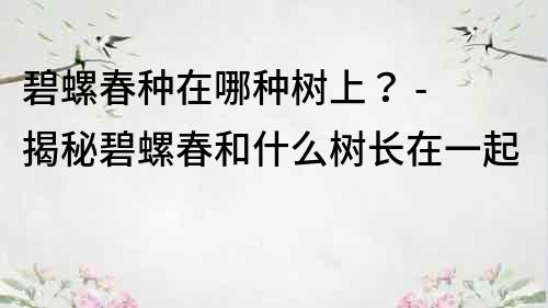 碧螺春種在哪種樹上？ - 揭秘碧螺春和什么樹長在一起