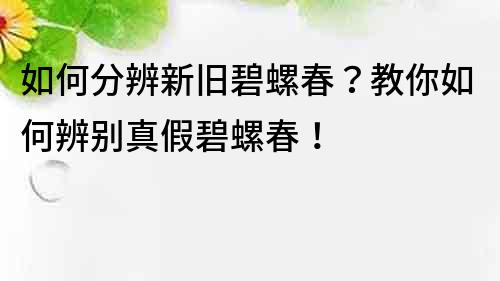 如何分辨新舊碧螺春？教你如何辨別真假碧螺春！