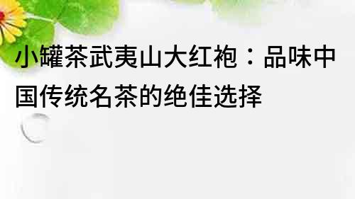 小罐茶武夷山大紅袍：品味中國傳統名茶的絕佳選擇
