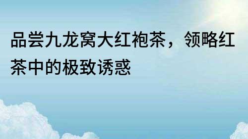 品嘗九龍窩大紅袍茶，領(lǐng)略紅茶中的極致誘惑