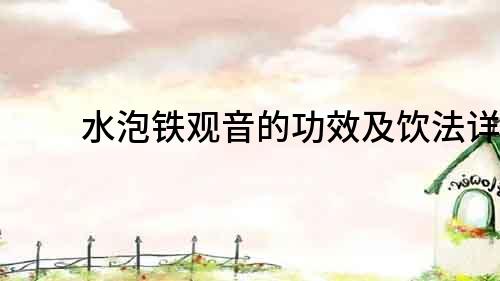 水泡鐵觀音的功效及飲法詳解