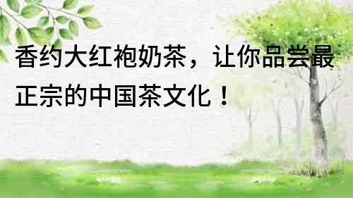 香約大紅袍奶茶，讓你品嘗最正宗的中國茶文化！