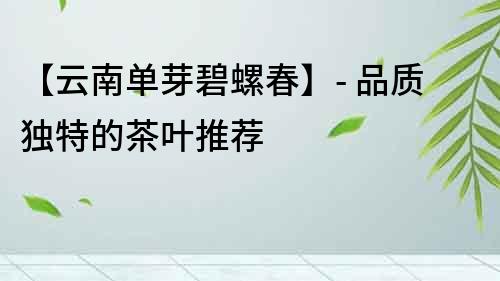 【云南單芽碧螺春】- 品質獨特的茶葉推薦