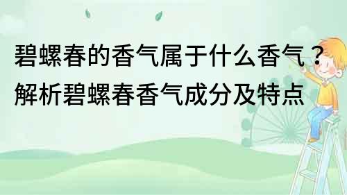 碧螺春的香氣屬于什么香氣？解析碧螺春香氣成分及特點