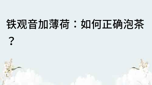 鐵觀音加薄荷：如何正確泡茶？