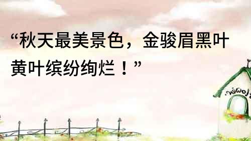 “秋天最美景色，金駿眉黑葉黃葉繽紛絢爛！”
