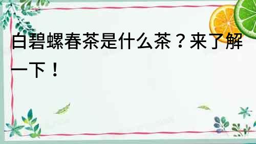 白碧螺春茶是什么茶？來了解一下！