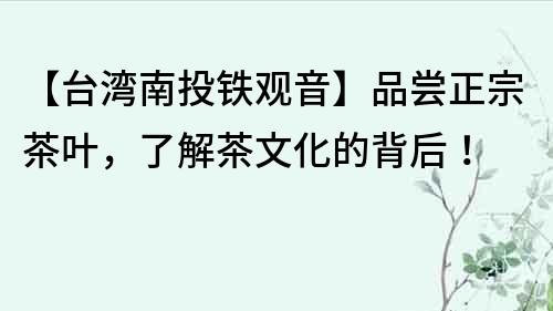 【臺灣南投鐵觀音】品嘗正宗茶葉，了解茶文化的背后！
