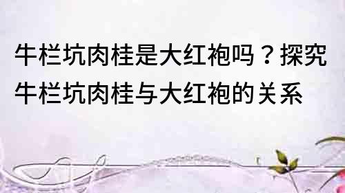 牛欄坑肉桂是大紅袍嗎？探究牛欄坑肉桂與大紅袍的關系