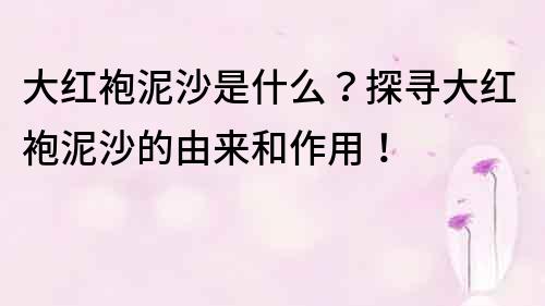 大紅袍泥沙是什么？探尋大紅袍泥沙的由來和作用！