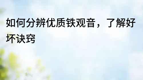 如何分辨優(yōu)質(zhì)鐵觀音，了解好壞訣竅
