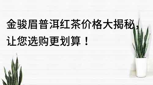 金駿眉普洱紅茶價格大揭秘，讓您選購更劃算！