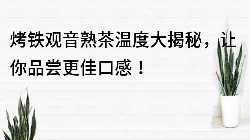 烤鐵觀音熟茶溫度大揭秘，讓你品嘗更佳口感！