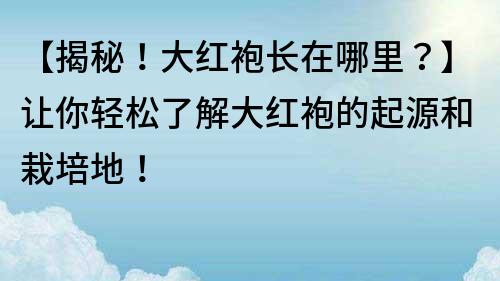【揭秘！大紅袍長(zhǎng)在哪里？】讓你輕松了解大紅袍的起源和栽培地！