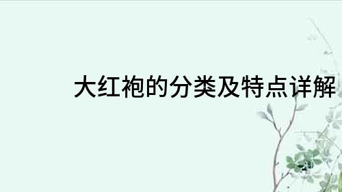 大紅袍的分類及特點詳解