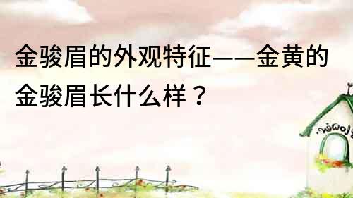 金駿眉的外觀特征——金黃的金駿眉長(zhǎng)什么樣？