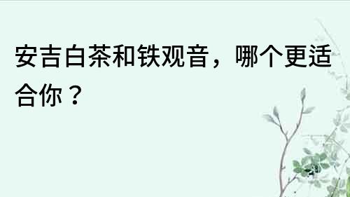 安吉白茶和鐵觀音，哪個更適合你？