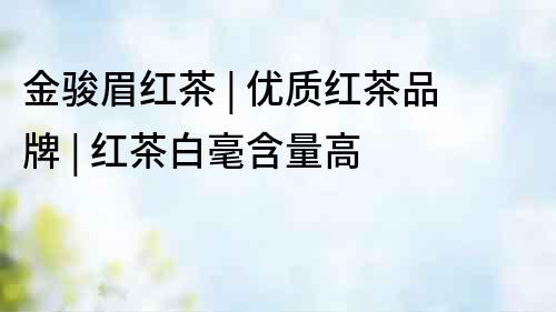 金駿眉紅茶 | 優質紅茶品牌 | 紅茶白毫含量高
