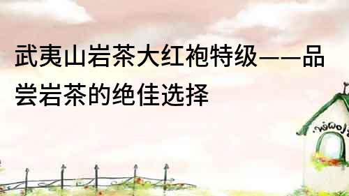 武夷山巖茶大紅袍特級——品嘗巖茶的絕佳選擇