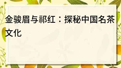 金駿眉與祁紅：探秘中國名茶文化