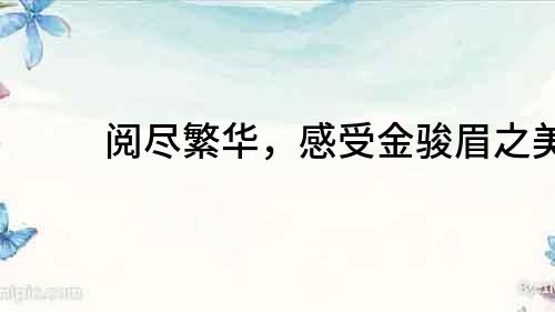閱盡繁華，感受金駿眉之美