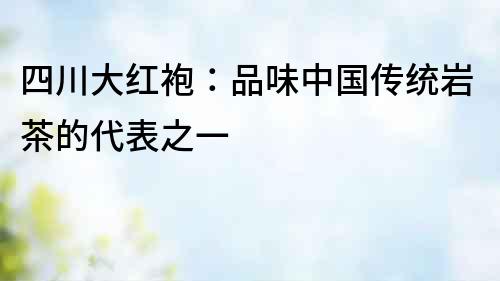四川大紅袍：品味中國傳統(tǒng)巖茶的代表之一