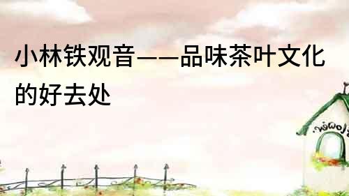 小林鐵觀音——品味茶葉文化的好去處