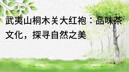 武夷山桐木關(guān)大紅袍：品味茶文化，探尋自然之美