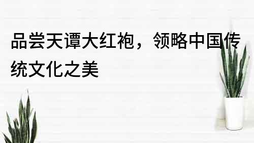品嘗天譚大紅袍，領略中國傳統文化之美