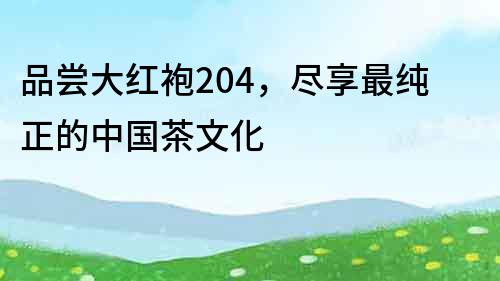 品嘗大紅袍204，盡享最純正的中國茶文化