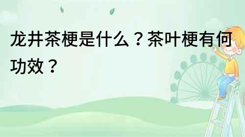 龍井茶梗是什么？茶葉梗有何功效？