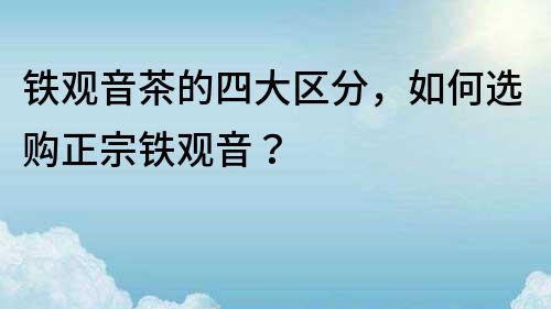 鐵觀音茶的四大區分，如何選購正宗鐵觀音？