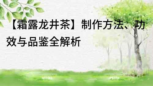 【霜露龍井茶】制作方法、功效與品鑒全解析